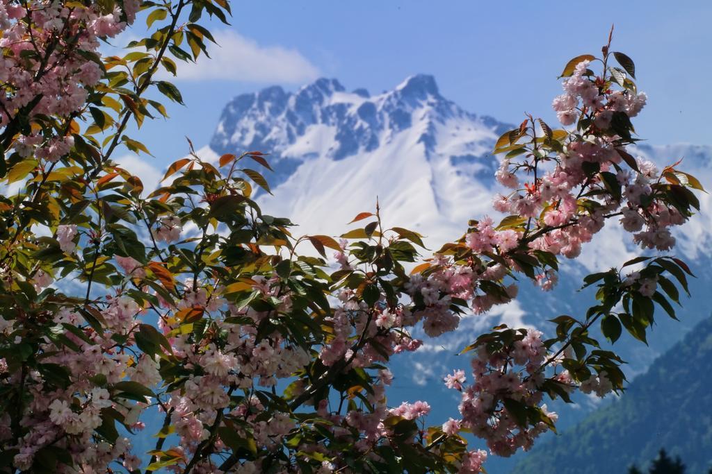 Panorama Hotel Kaserer Fischen im Allgaeu Exteriör bild
